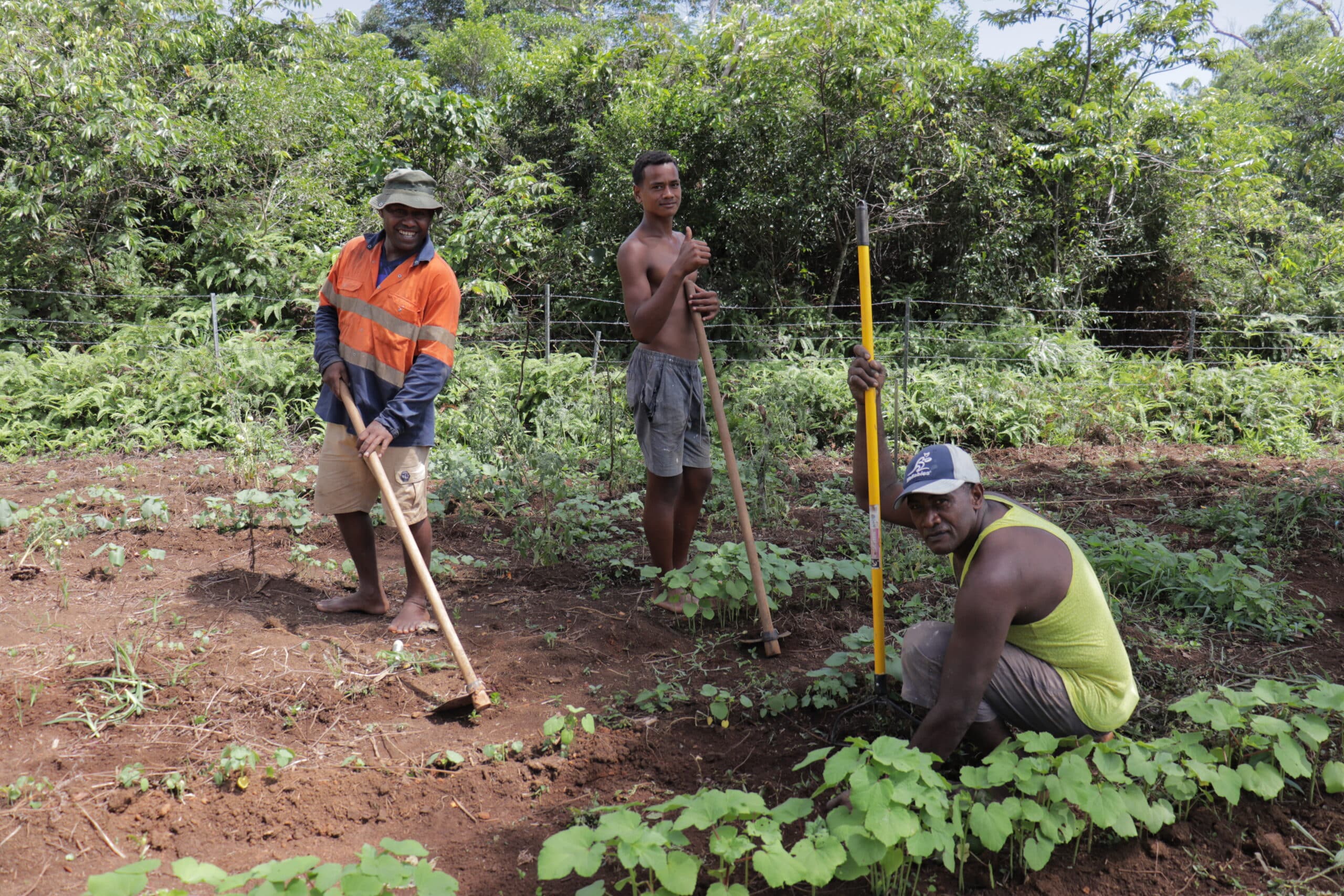 Pray with Fiji, February 4, 2024 - Global Ministries